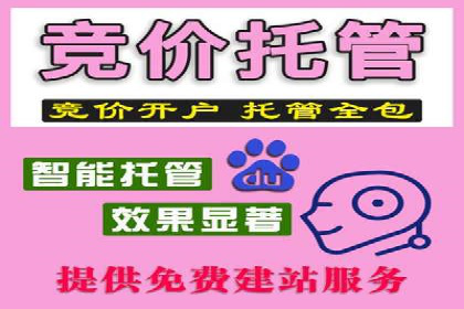 推广竞价实战技巧：从成功案例中汲取经验
